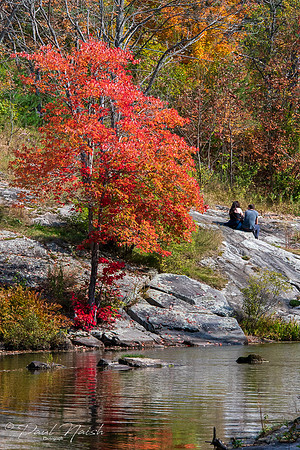 Fall is for lovers