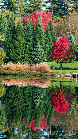 Muskoka Fall Colours