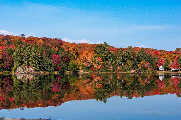 Muskoka Fall Colours