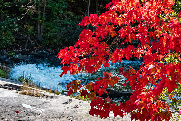 Bottom Falls