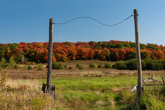 Muskoka Colours