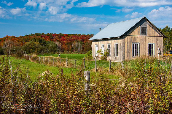 Muskoka Fall Colours