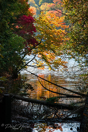 Sucker Creek into Lake Rosseau