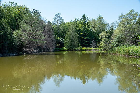 Davis Drive Tract - McCowan Road