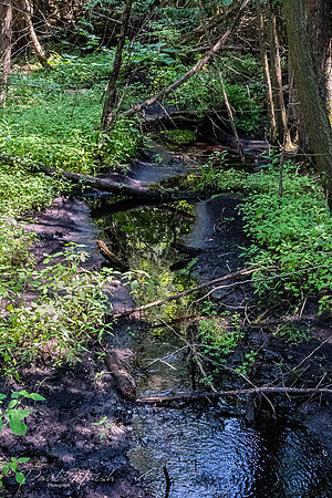 Davis Drive Tract - McCowan Road