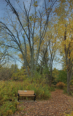 Lynde Shores Oct 27/2020