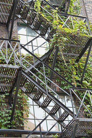 Fire Escape