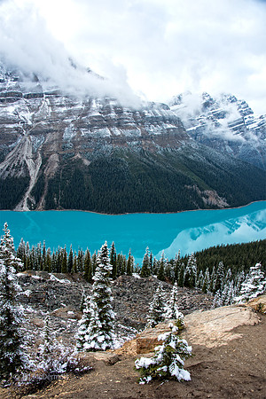 Peyto Lake