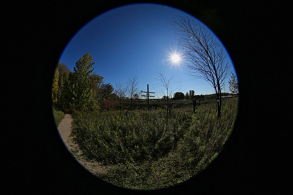 Purple Woods Conservation Area Oct 12/2021