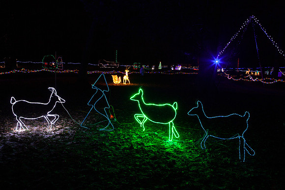 Elgin Park Christmas light display