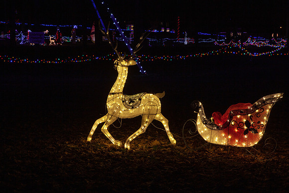 Elgin Park Christmas light display