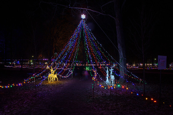 Elgin Park Christmas light display