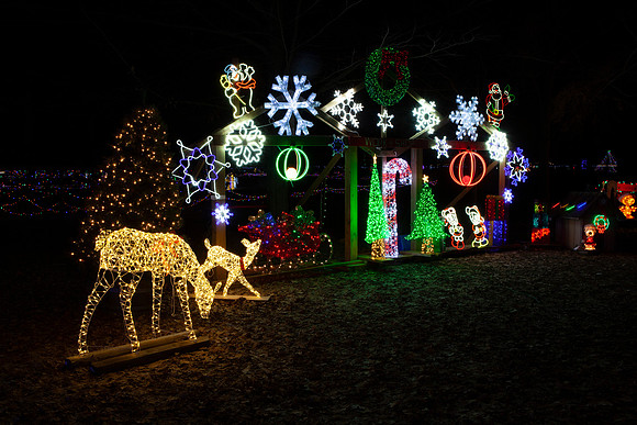 Elgin Park Christmas light display