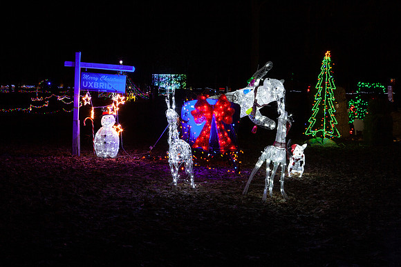 Elgin Park Christmas light display