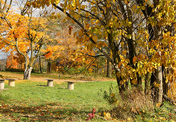 Pefferlaw Creek Farms Oct 20/2020