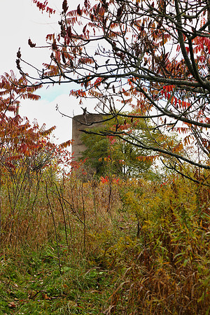 Pefferlaw Creek Farms Oct 20/2020