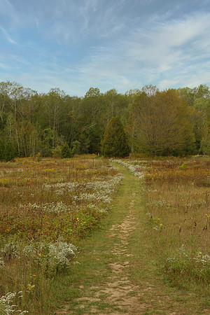 Uxbridge Trail (beside Rona) Sept 21/2021
