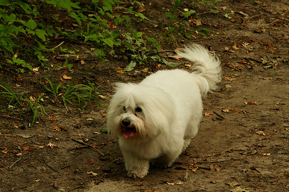 Uxbridge Trail (beside Rona) Sept 21/2021