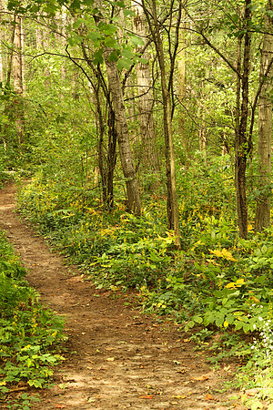 Uxbridge Trail (beside Rona) Sept 21/2021