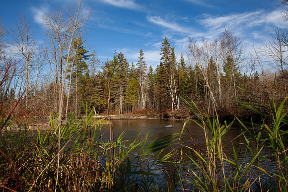 Pete's Dam