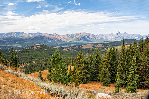 Valley View