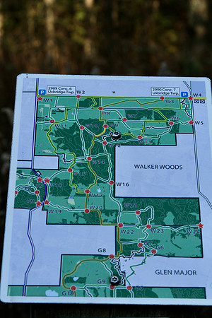 Walker Woods Nov 20/2020