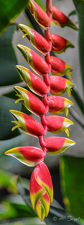 Repetition in nature