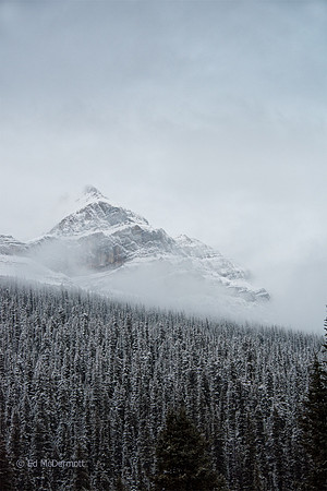 Bow Lake