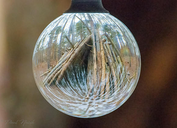 Forest Xmas Oranment