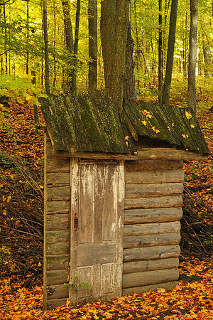 Purple Woods Conservation Area Oct 13/2020