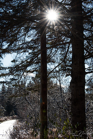 Secord Forest and Wildlife Area