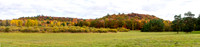 Fall Colour