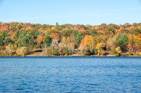Fall Colours