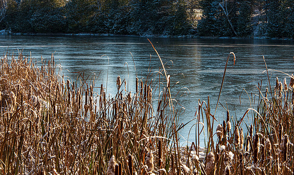 Secord Pond - Overnight Ice