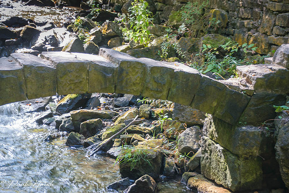 Foot Bridge Over Black Creek
