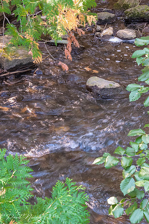 West Duffins Creek from first bridge