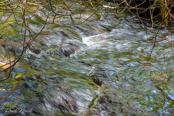 West Duffins Creek
