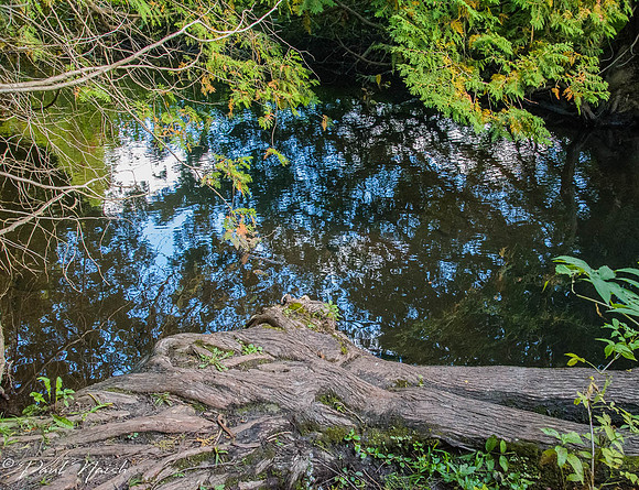 West Duffins Creek