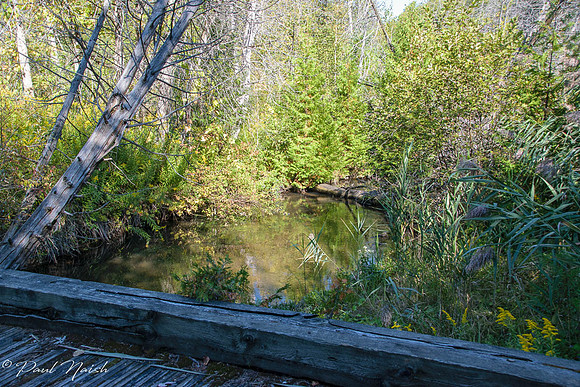 West Duffins Creek first bridge