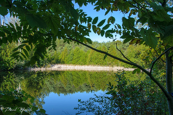 Pond from East Shore