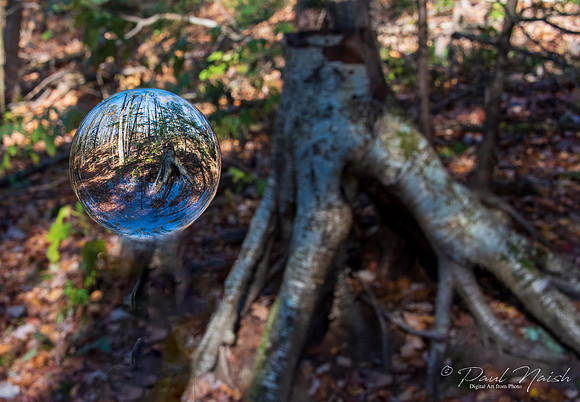 Hollidge Tract
