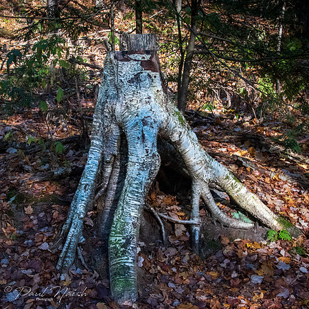 Hollidge Tract