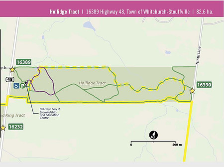 Hollidge Tract