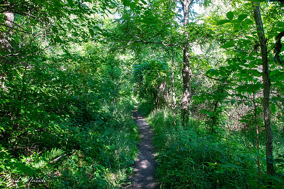 Seton Trail