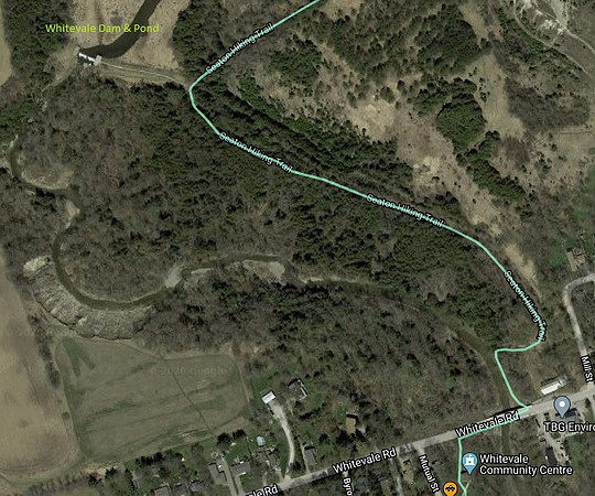 Seton Trail North of Whitevale
