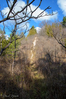 Side trail up a steep hill
