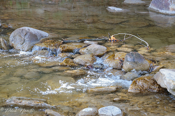 Little Rouge Creek