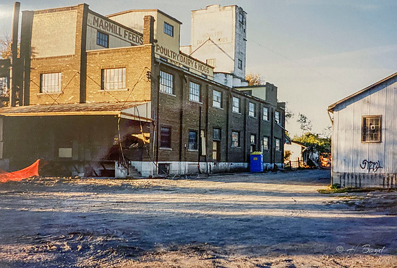 Marmill Feeds (Past)