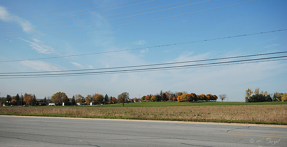 The Beckett Farm (Past)