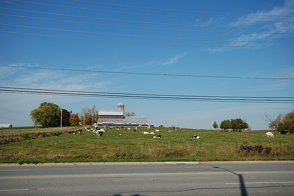 Farm entrance off 16th ave. (Past)